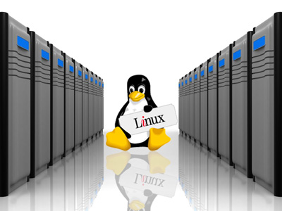 مدیریت فهرست پوشه‌ها در سرورهای لینوکس, دانستنی های اینترنت
